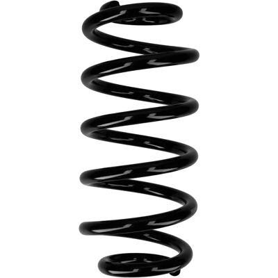 F.Becker_line - 8e0411105bh - Vorderseite - Paar - Suspension spring F.Becker_line - 8e0411105bh - Vorderseite - Paar - Suspension spring