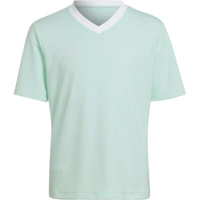Maglia da calcio turchese Adidas HC5078 - Calcio Maglia da calcio turchese Adidas HC5078 - Calcio