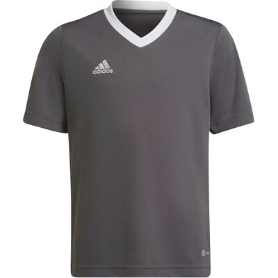 Adidas Entrada 22 Kinder Trikot - Trikot Kinder Team grau vier Adidas Entrada 22 Kinder Trikot - Trikot Kinder Team grau vier