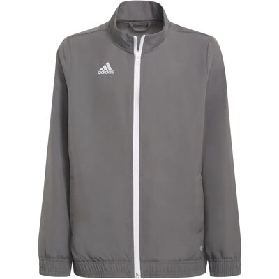 adidas ENT Pre Jas - Grijs - Unisex - 11-12 Jaar - Jas adidas ENT Pre Jas - Grijs - Unisex - 11-12 Jaar - Jas