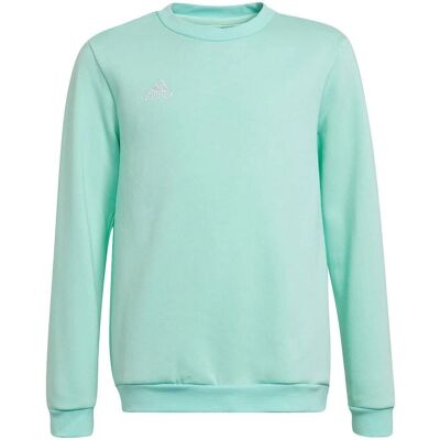 Sweatshirt adidas Entrada 22 Turquoise - Sweatshirt - Publicité Sweatshirt adidas Entrada 22 Turquoise - Sweatshirt - Publicité