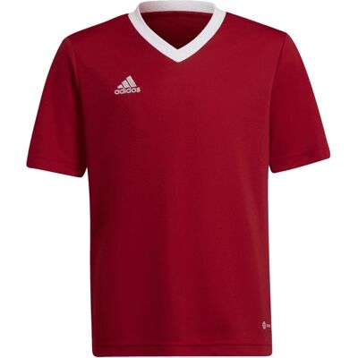 Fotbalové triko Adidas Entrada 22 - Červené Fotbalové triko Adidas Entrada 22 - Červené