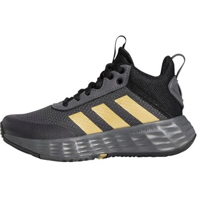 adidas GZ3381 Γκρι Παιδικά Μπασκετικά Παπούτσια - Ολόκληρο το έτος adidas GZ3381 Γκρι Παιδικά Μπασκετικά Παπούτσια - Ολόκληρο το έτος