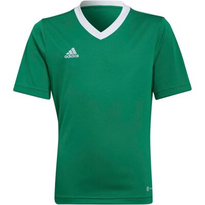 Adidas Entrada 22 HI2126 Grüner Fußball - Ganzjährig Jungen Adidas Entrada 22 HI2126 Grüner Fußball - Ganzjährig Jungen