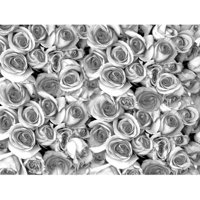 PAPERMOON Graue Rosen Fototapete - Wanddekoration - 2,5x1,86m PAPERMOON Graue Rosen Fototapete - Wanddekoration - 2,5x1,86m