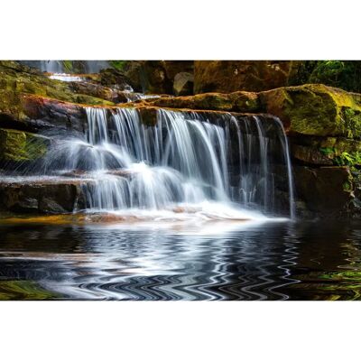 PAPERMOON Wandbild Kleiner Wasserfall im Wald - Tapete PAPERMOON Wandbild Kleiner Wasserfall im Wald - Tapete