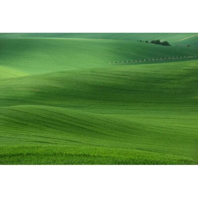 PAPERMOON Felder Wandbild - Bunt, 2,50x1,86m, 5 Bahnen PAPERMOON Felder Wandbild - Bunt, 2,50x1,86m, 5 Bahnen