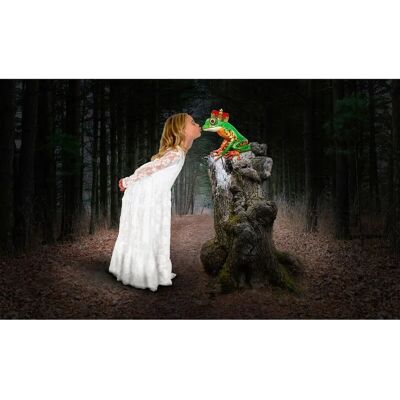 PAPERMOON Prinzessin küsst den Frosch Tapete - Bunt, 3m x 2.23m PAPERMOON Prinzessin küsst den Frosch Tapete - Bunt, 3m x 2.23m