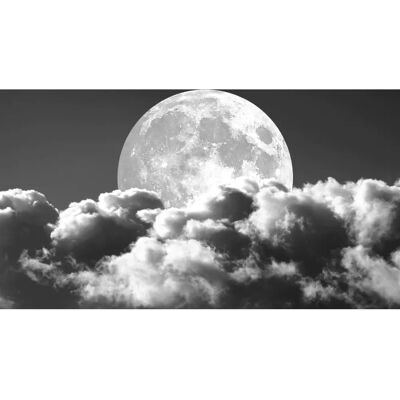 PAPERMOON Mond Schwarz & Weiß Wandbild - Tapete, Schwarz & Weiß, 3x2,23m PAPERMOON Mond Schwarz & Weiß Wandbild - Tapete, Schwarz & Weiß, 3x2,23m