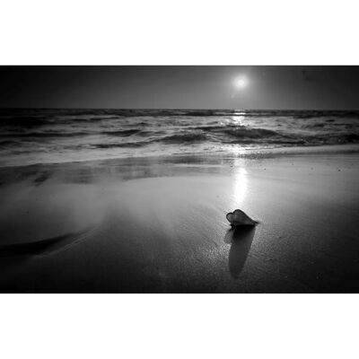 PAPERMOON Schwarz & Weiß Strand Fototapete - Tapete PAPERMOON Schwarz & Weiß Strand Fototapete - Tapete
