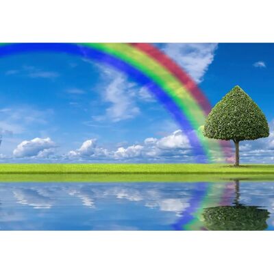 PAPERMOON Regenbogen Wiese Fototapete - Tapete PAPERMOON Regenbogen Wiese Fototapete - Tapete