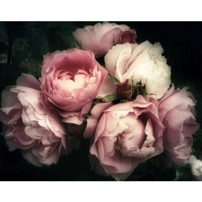 PAPERMOON Blumen Wandbild - Blumen - Digitaldruck PAPERMOON Blumen Wandbild - Blumen - Digitaldruck