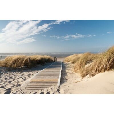 PAPERMOON Strand Fototapete - Vlies Wallpaper PAPERMOON Strand Fototapete - Vlies Wallpaper