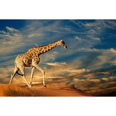PAPERMOON Giraffe Digital Tapete - 7 Bahnen, 3,50x2,60m PAPERMOON Giraffe Digital Tapete - 7 Bahnen, 3,50x2,60m