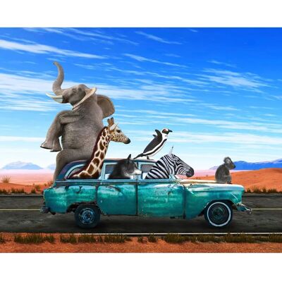 PAPERMOON Tiere in Auto Fototapete - Wallpaper PAPERMOON Tiere in Auto Fototapete - Wallpaper