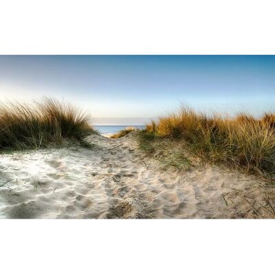PAPERMOON Strand Fototapete - Bunt, 3,50x2,60m, Vlies, 7 Bahnen - Tapete PAPERMOON Strand Fototapete - Bunt, 3,50x2,60m, Vlies, 7 Bahnen - Tapete
