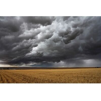 PAPERMOON Bündel mit Gewitter - Tapete PAPERMOON Bündel mit Gewitter - Tapete