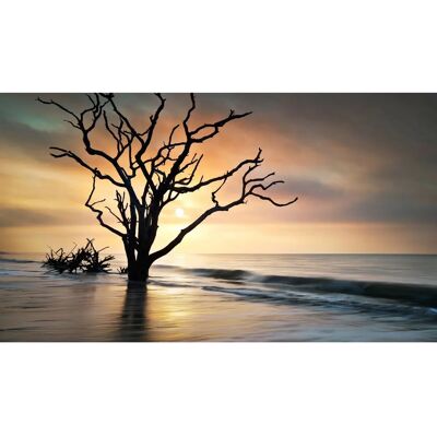 PAPERMOON Baum am Strand Fototapete - Landschaft Wandbild PAPERMOON Baum am Strand Fototapete - Landschaft Wandbild