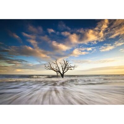 PAPERMOON Baum Landschaft Tapete - Tapeten PAPERMOON Baum Landschaft Tapete - Tapeten