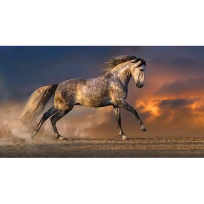 PAPERMOON Pferd Wandbild - Landschaft, bunt, 3,50m x 2,60m PAPERMOON Pferd Wandbild - Landschaft, bunt, 3,50m x 2,60m