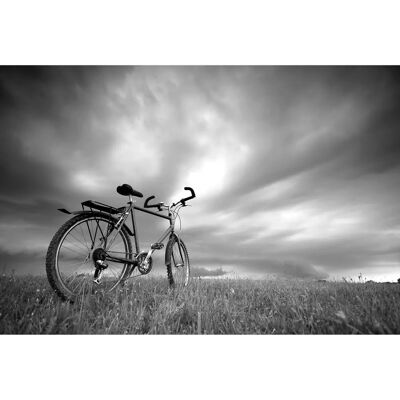 PAPERMOON Fahrrad Schwarz & Weiß Tapete - Tapete PAPERMOON Fahrrad Schwarz & Weiß Tapete - Tapete