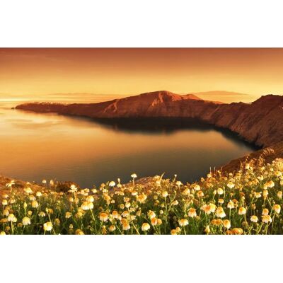 PAPERMOON Blumenwiese vor Bucht Tapete - Landschaft PAPERMOON Blumenwiese vor Bucht Tapete - Landschaft