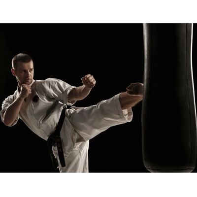 PAPERMOON Karate Tapete - 8 Bahnen 4x2,6m, Bunt, Vlies PAPERMOON Karate Tapete - 8 Bahnen 4x2,6m, Bunt, Vlies