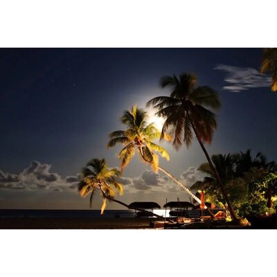 PAPERMOON Palmenstrand Fototapete - Bunt, 4m x 2,6m, Vlies, Wandbild PAPERMOON Palmenstrand Fototapete - Bunt, 4m x 2,6m, Vlies, Wandbild
