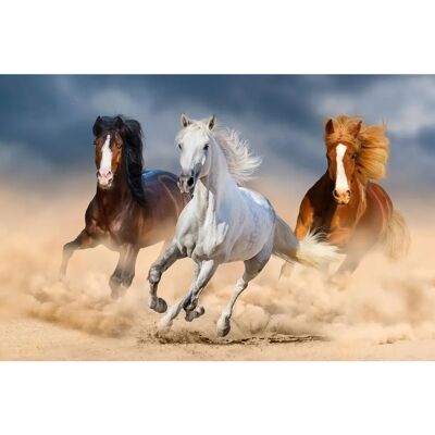 PAPERMOON Pferde Wandbild - Bunt, 4x2,6m - Wandbild PAPERMOON Pferde Wandbild - Bunt, 4x2,6m - Wandbild
