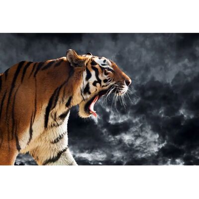 PAPERMOON Tiger Tapete - Landschaft, Stadt, Natur - 4,5x2,8m PAPERMOON Tiger Tapete - Landschaft, Stadt, Natur - 4,5x2,8m