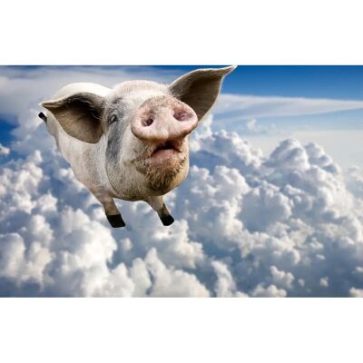 PAPERMOON Fliegende Schweine Fototapete - Wandbild PAPERMOON Fliegende Schweine Fototapete - Wandbild