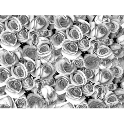 PAPERMOON Graue Rosen Tapete - Digitaldruck, 4,50x2,80m, 9 Bahnen - Tapete PAPERMOON Graue Rosen Tapete - Digitaldruck, 4,50x2,80m, 9 Bahnen - Tapete