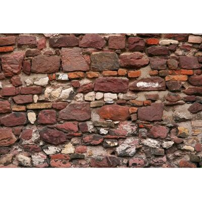 PAPERMOON Steinmauer Wandbild - Digitaldruck - 4,50x2,80m PAPERMOON Steinmauer Wandbild - Digitaldruck - 4,50x2,80m