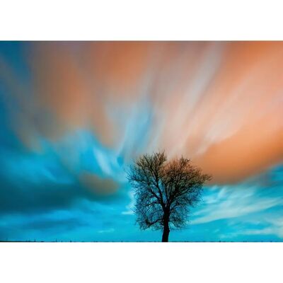 PAPERMOON Fototapete Baum auf Wiese - Landschaft Wandbild PAPERMOON Fototapete Baum auf Wiese - Landschaft Wandbild