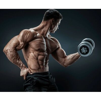 PAPERMOON Fitness Mann Tapete - Digitaldruck Hochwertig - 4,5m x 2,8m PAPERMOON Fitness Mann Tapete - Digitaldruck Hochwertig - 4,5m x 2,8m