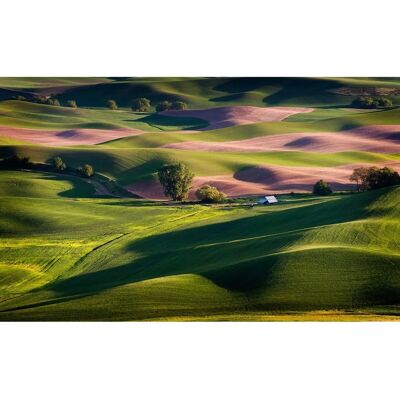 PAPERMOON Landschaft Wandbild - Hochwertiger Digitaldruck PAPERMOON Landschaft Wandbild - Hochwertiger Digitaldruck