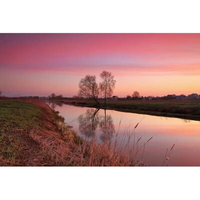 PAPERMOON Individuelle Fluss durch Feld Fototapete - Bunte Tapete - 4,50m x 2,80m PAPERMOON Individuelle Fluss durch Feld Fototapete - Bunte Tapete - 4,50m x 2,80m