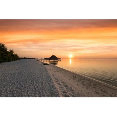 PAPERMOON Bunte Strand Fototapete - Tapete PAPERMOON Bunte Strand Fototapete - Tapete