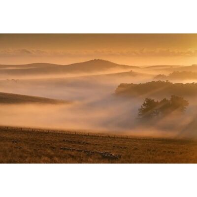 PAPERMOON Nebel in Landschaft Wandbild - Bunt, 4,50m x 2,80m PAPERMOON Nebel in Landschaft Wandbild - Bunt, 4,50m x 2,80m