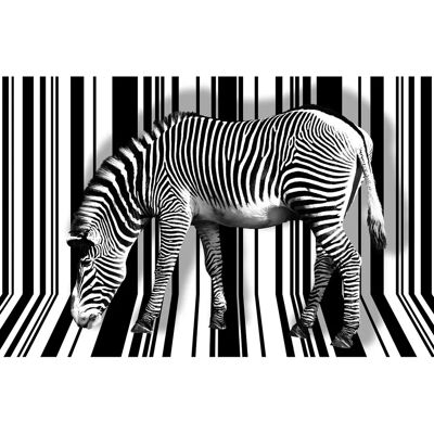 PAPERMOON Zebra Tapete - Digitaldruck, 4,50x2,80m - Tapete PAPERMOON Zebra Tapete - Digitaldruck, 4,50x2,80m - Tapete