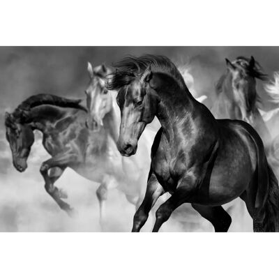 PAPERMOON Pferde Fototapete - Realistische Landschaft - 4,5m x 2,8m - Vliestapete PAPERMOON Pferde Fototapete - Realistische Landschaft - 4,5m x 2,8m - Vliestapete