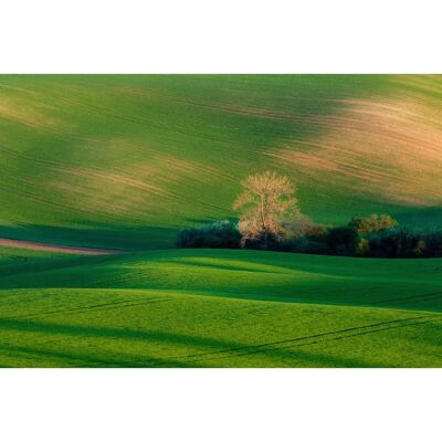 PAPERMOON Wandbild - Landschaft mit Hütte - Bunt, 4,50m x 2,80m PAPERMOON Wandbild - Landschaft mit Hütte - Bunt, 4,50m x 2,80m