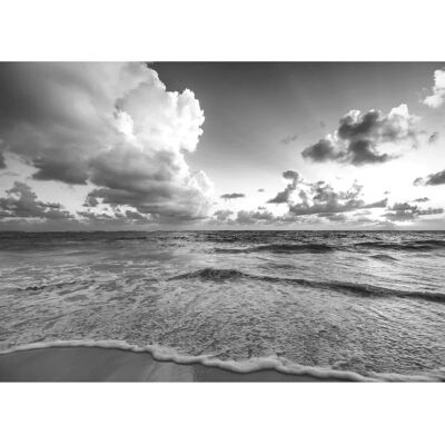 PAPERMOON Schwarz & Weiß Strand Fototapete - Vliestapete PAPERMOON Schwarz & Weiß Strand Fototapete - Vliestapete