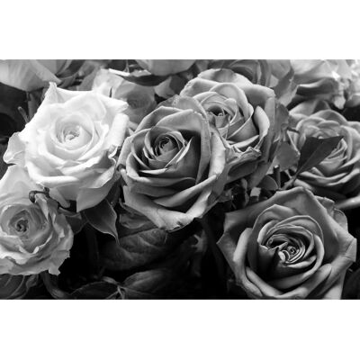 PAPERMOON Schwarz & Weiß Blumen Tapete - Wandbild PAPERMOON Schwarz & Weiß Blumen Tapete - Wandbild