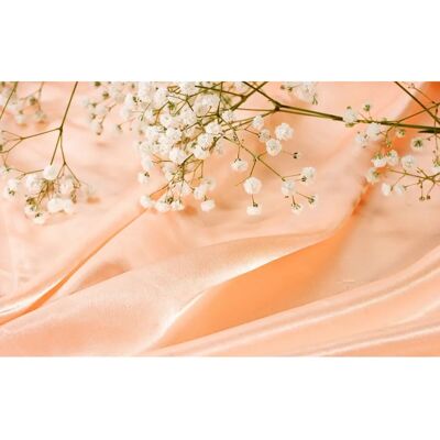 PAPERMOON Blumen Fototapete - Hochwertiger Digitaldruck - 5m x 2,8m PAPERMOON Blumen Fototapete - Hochwertiger Digitaldruck - 5m x 2,8m