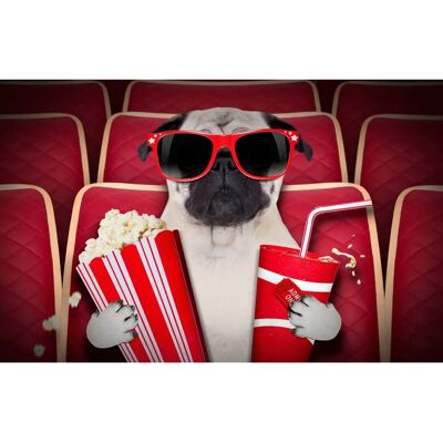PAPERMOON Hund im Kino Fototapete - Wandbild PAPERMOON Hund im Kino Fototapete - Wandbild