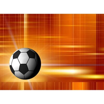 PAPERMOON Fußball Fototapete - B/L 5m x 2,8m - Bunt Wandbild PAPERMOON Fußball Fototapete - B/L 5m x 2,8m - Bunt Wandbild