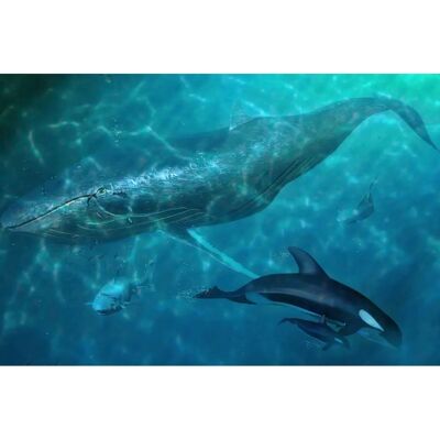 PAPERMOON Wandbild - Wal und Orcas - 5m x 2,8m - Landschaft Wandbild PAPERMOON Wandbild - Wal und Orcas - 5m x 2,8m - Landschaft Wandbild