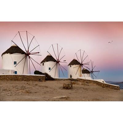 PAPERMOON Windmühlen Wandbild - Landschaft & Stadt - 5m x 2,8m PAPERMOON Windmühlen Wandbild - Landschaft & Stadt - 5m x 2,8m