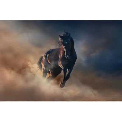 PAPERMOON Neblige Landschaft Tapete - Digitaldruck - 5m x 2.8m PAPERMOON Neblige Landschaft Tapete - Digitaldruck - 5m x 2.8m